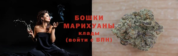 прущие грибы Баксан