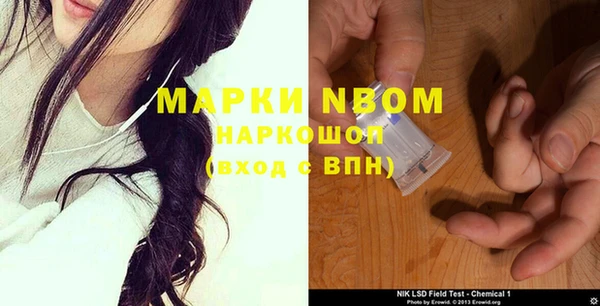 прущие грибы Баксан