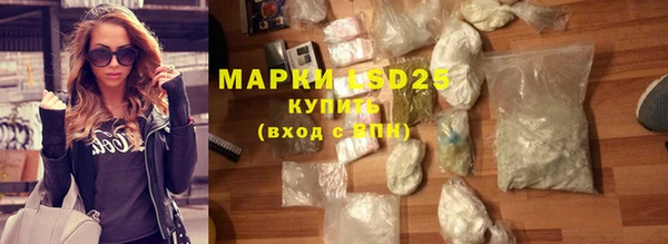 прущие грибы Баксан